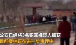 河北男孩埋尸官方爆料新闻,惊人真相揭露背后悲剧